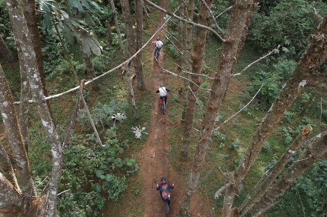8-Days Private Enduro Mountain Bike Tour in Colombia - Food, coffee, and Tejo: the non-ride side that makes this trip memorable